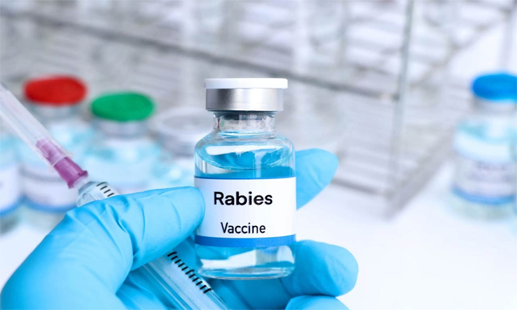 Initiative to import 2 million doses of rabies vaccine