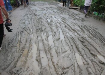 কুমিল্লা বৃক্ষ মেলায় অব্যবস্থাপনা আর সমন্বয়হীনতার অভাব প্রশ্নের মুখে আয়োজকদের প্রস্তুতি