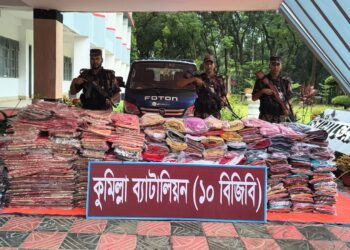 Indian sarees, blouses, and maxis worth approximately Tk 75 lakh, along with a vehicle, seized during a BGB operation at the Comilla border.